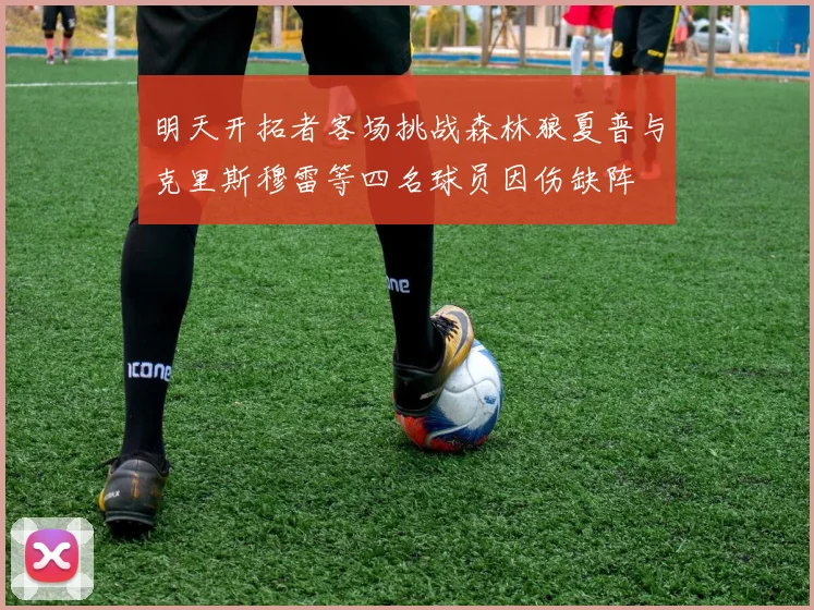 明天开拓者客场挑战森林狼夏普与克里斯穆雷等四名球员因伤缺阵